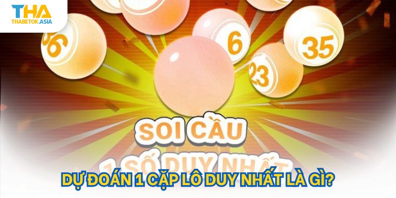 Dự đoán 1 cặp lô duy nhất là gì ?