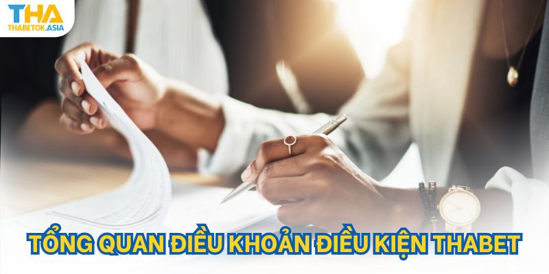 Tổng quan điều khoản điều kiện Thabet