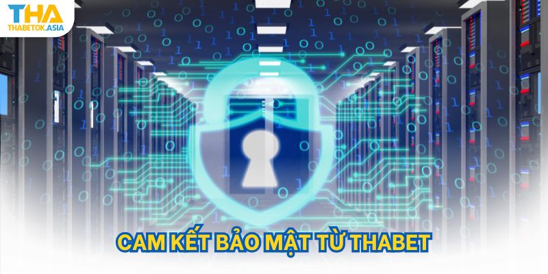 Cam kết bảo mật từ Thabet