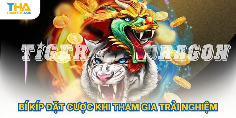 Bí kíp đặt cược khi tham gia trải nghiệm